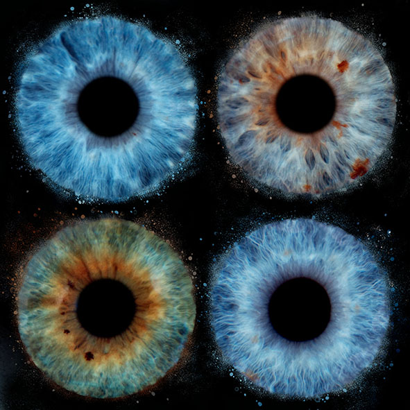 Macrophotographie artistique d’un iris